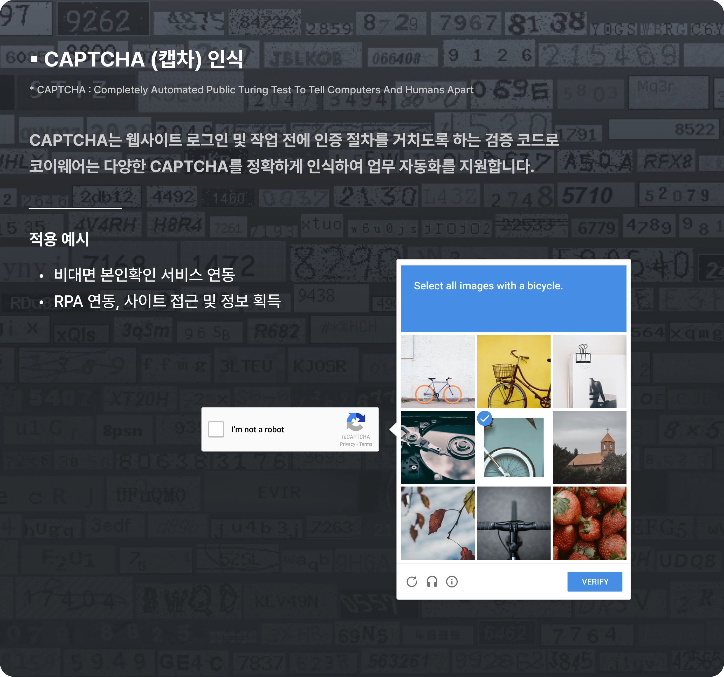 CAPTCHA 인식